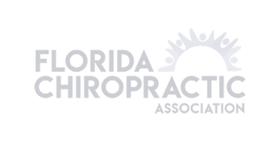 The Smart Chiropractor